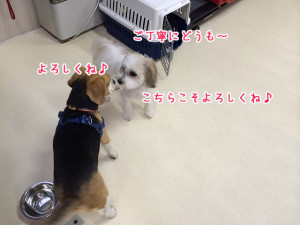 お友達になったよ！