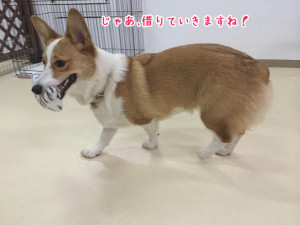 借りていきますね！
