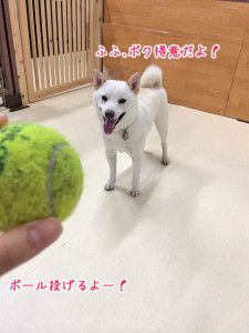 ボールは得意だよ♪