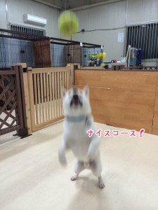 ストライクだ!