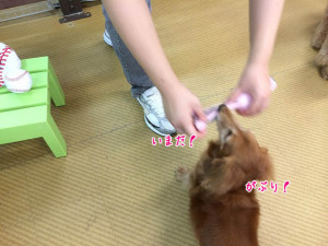 チャンスだ！