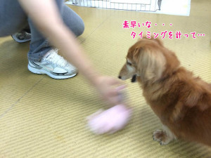 タイミングが大事