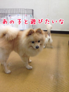 あの子と遊びたいな