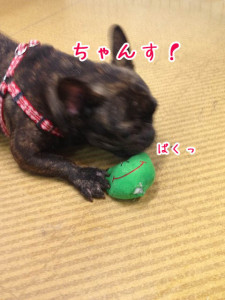 おもちゃがあいたぞ！
