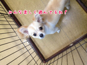 みんな楽しそうだね！