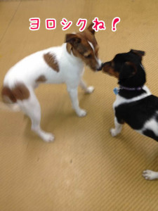 同じ仲間だね！