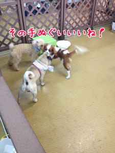 ニューファッション！