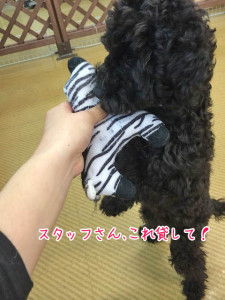 貸してくださいな