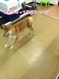 きっもちいい～