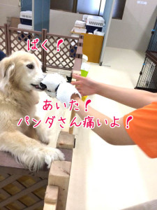 ぱっくり！