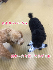 おもちゃは順番ね