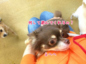 何して遊んでくれるの？