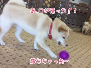 IMG_6852