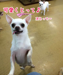 可愛くとってね