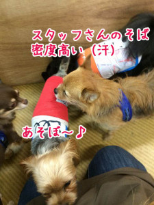 大人気のスタッフさん