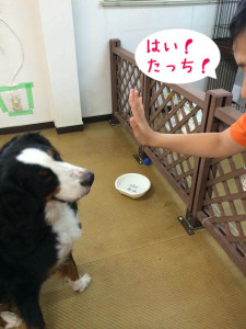 ハイタッチしよう！