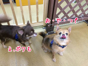 おやつ大好き！