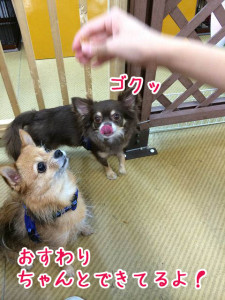 おやつだ！