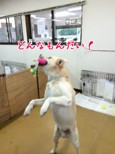 うまいでしょ！