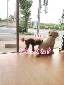 仲良くしてね