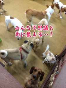 不思議空間