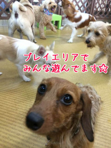 プレイエリアから中継！