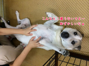 恥ずかしいなぁ