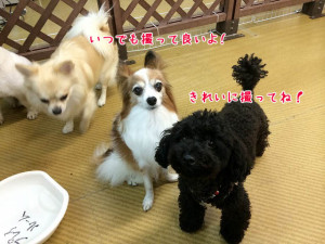 きれいに撮ってね