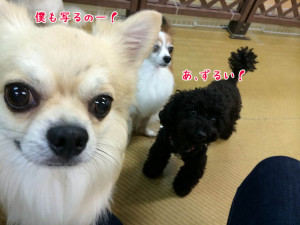 ボクもうつるー