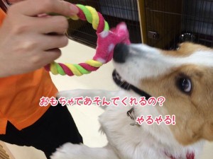 あそぶぞ～