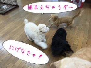 あそぼうよー