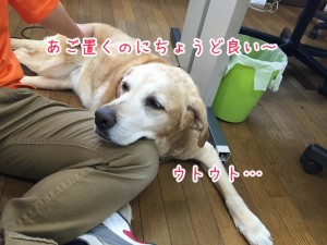 うとうと・・・