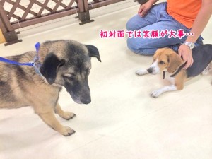 えがお、えがお・・・