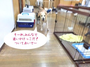 おいかけっこ