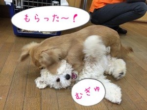 おさえこんだぞ