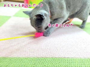 おもちゃもあります