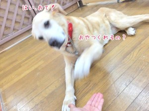 おやつのじかんかな～