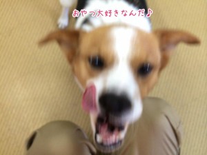 おやつ大好き