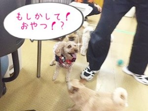 おやつ！？