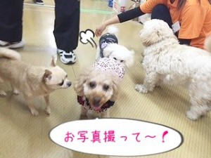 お写真撮って