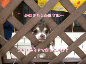 お掃除中