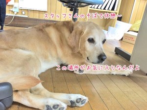 お気に入りの場所で休憩