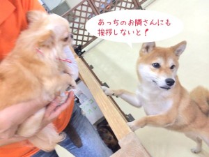 お隣さんにご挨拶