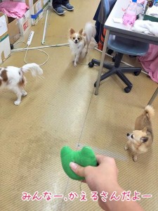 かえるさんだよー