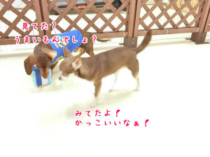 かっこいいね
