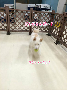 かんたんかんたん