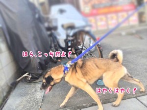 こっちこっち