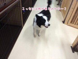 こっちにはなにがあるかな？
