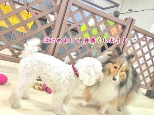 ご挨拶