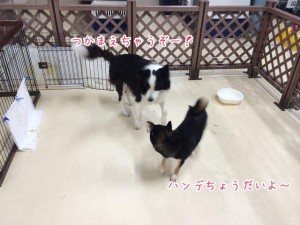 さすがに体格差が